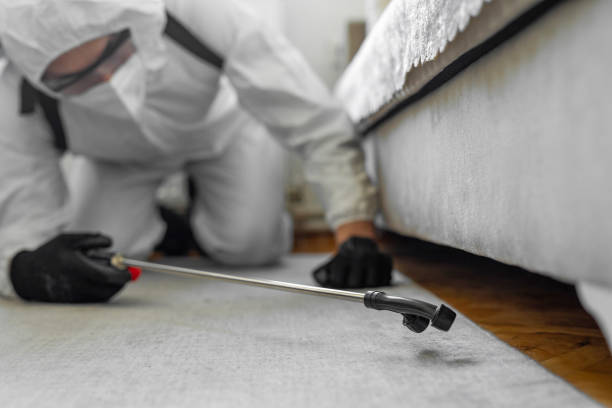 Professional Bed Bug Control technician working in Alderson, WV