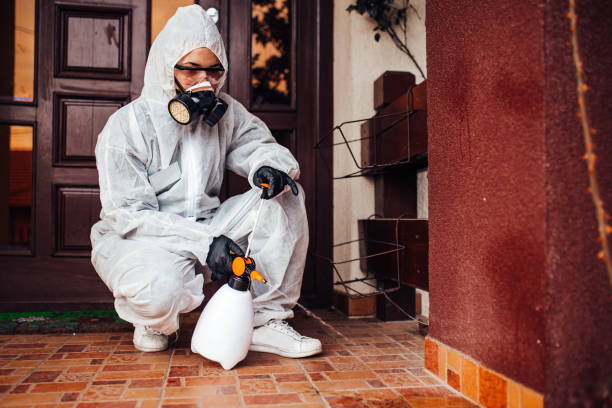 Reliable Bed Bug Control contractor in Alderson, WV by Nex Pest Control