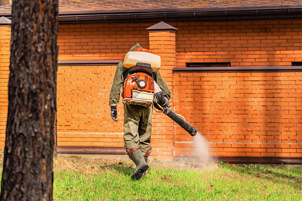 Trusted Rodent Control service in Alderson, WV - Nex Pest Control